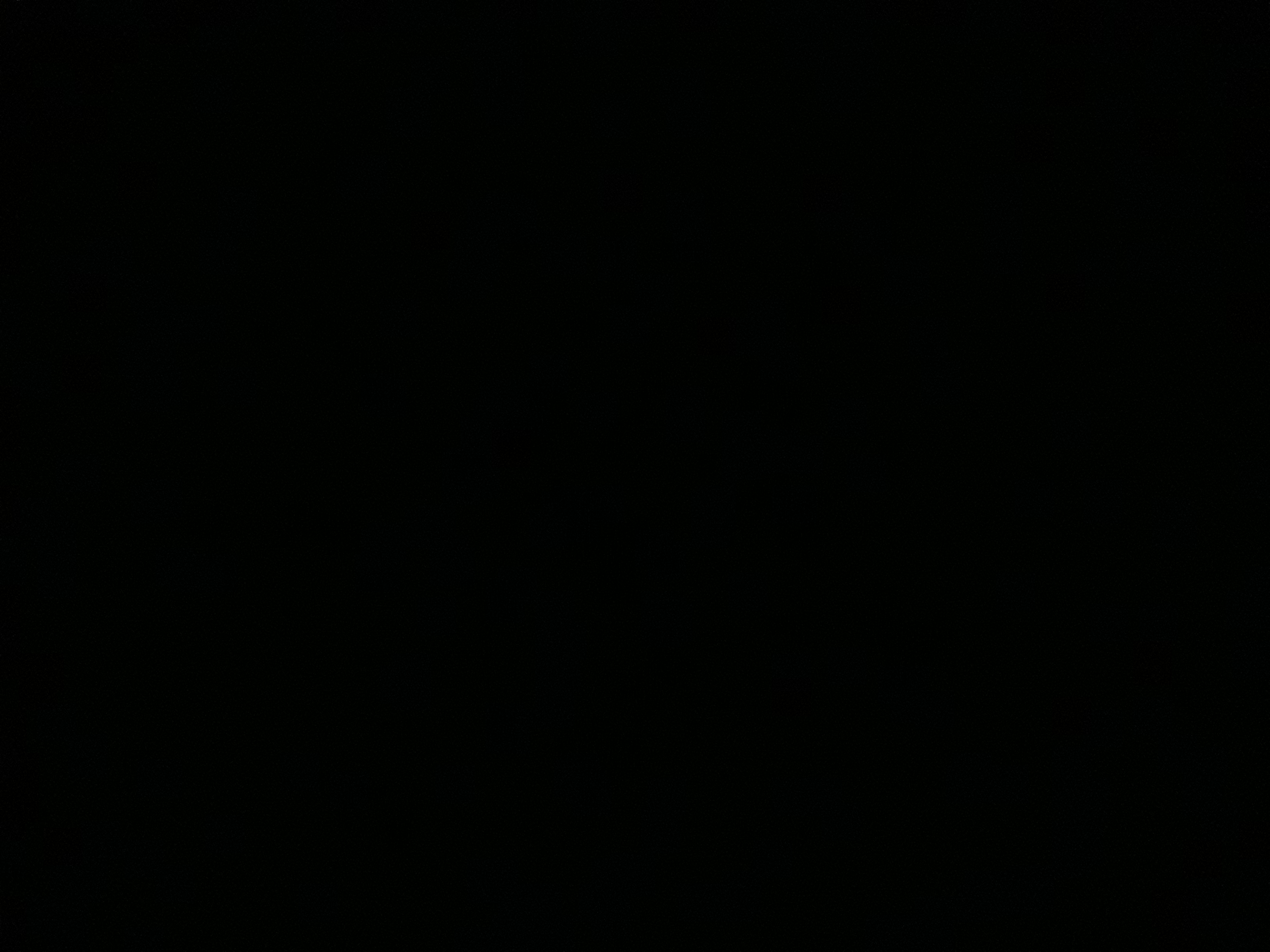 mrjsola