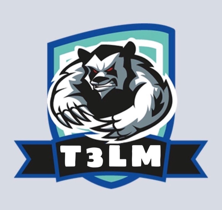 CLAn T3LM