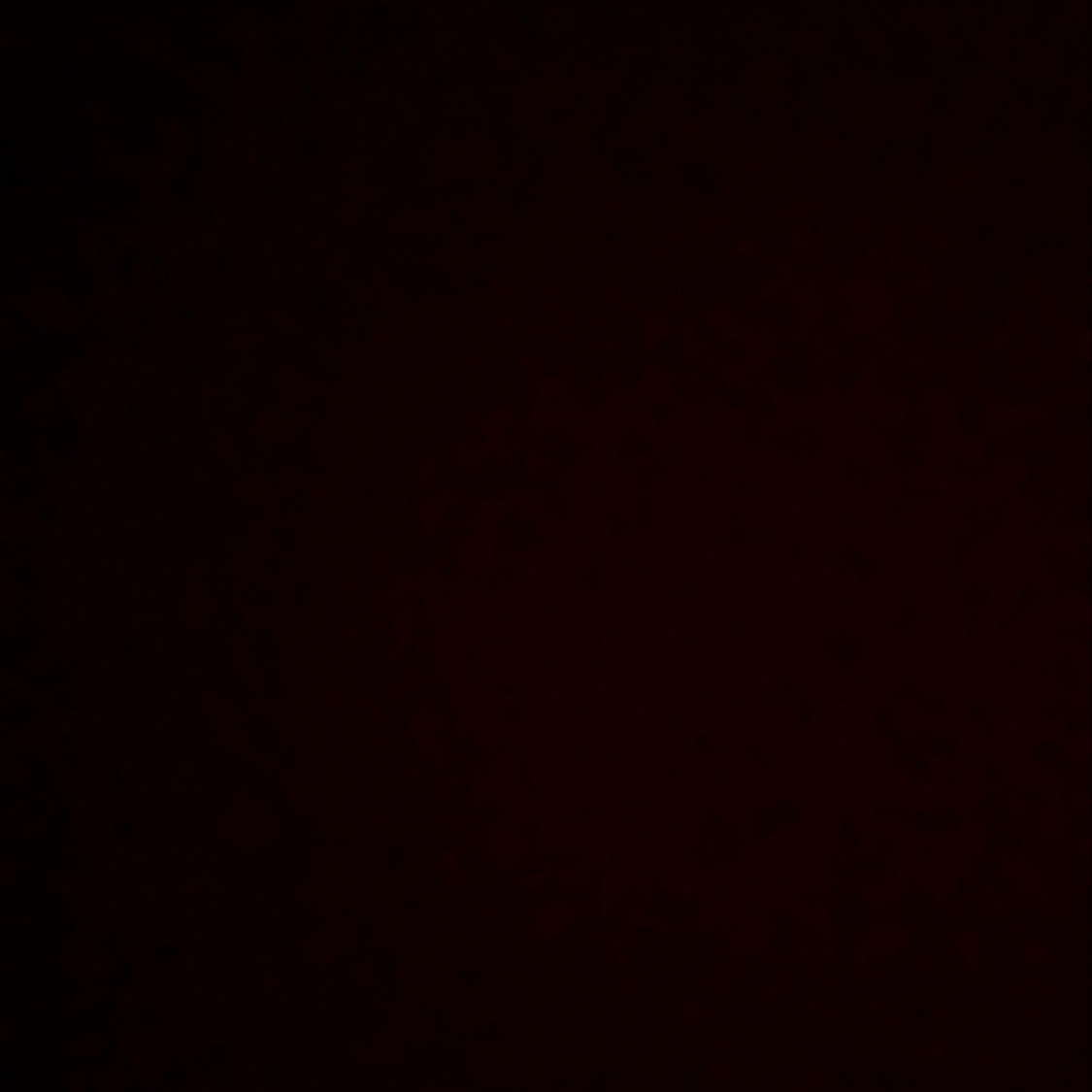 Invitation Banner