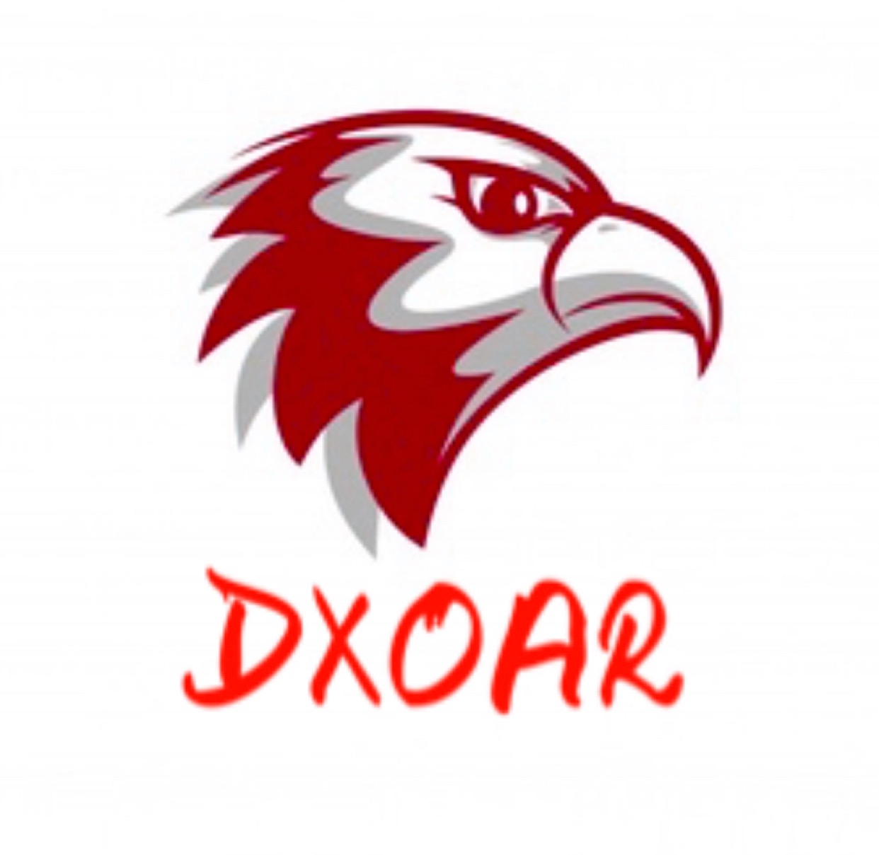 DXOAR