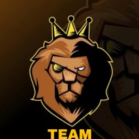 TEAM WORK LIONS