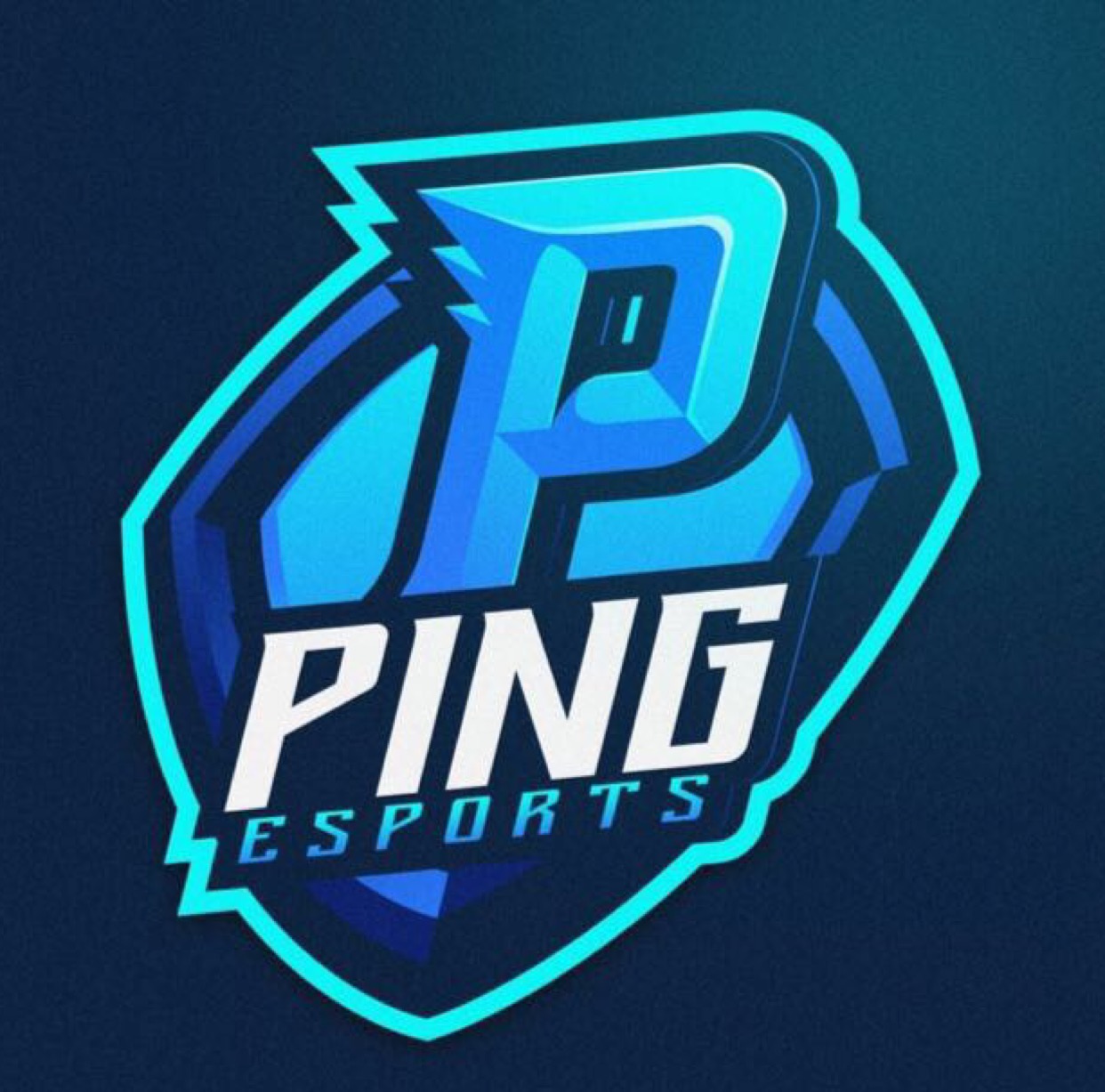 PiNG E-SPORT TEAM