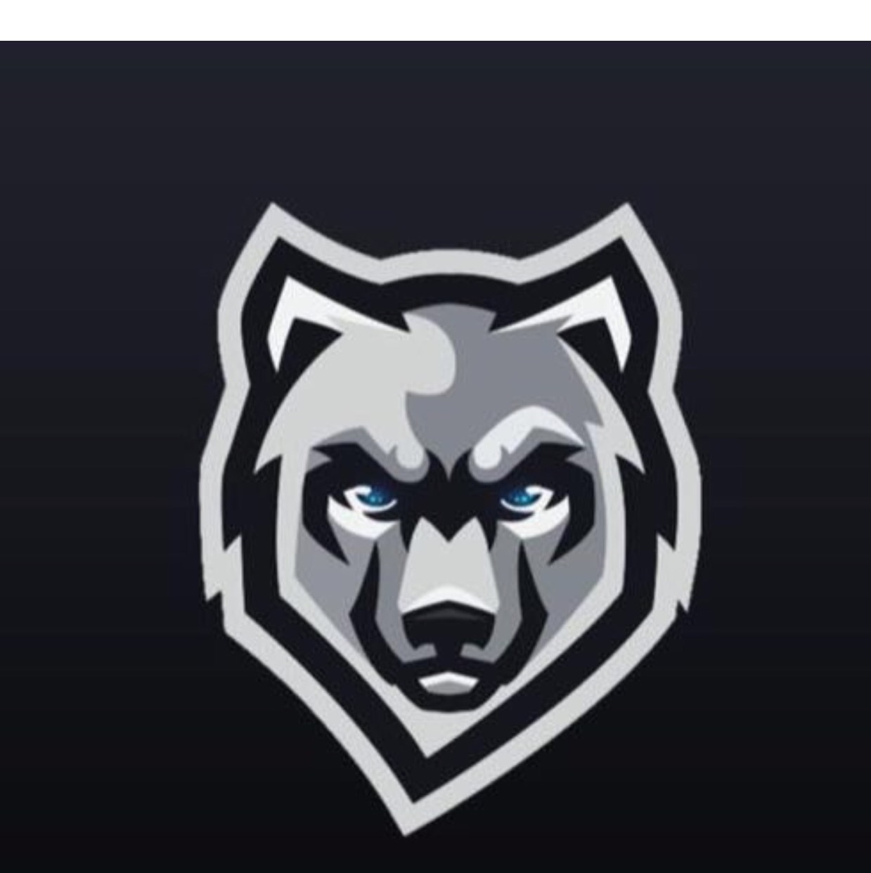 WoLf Esport