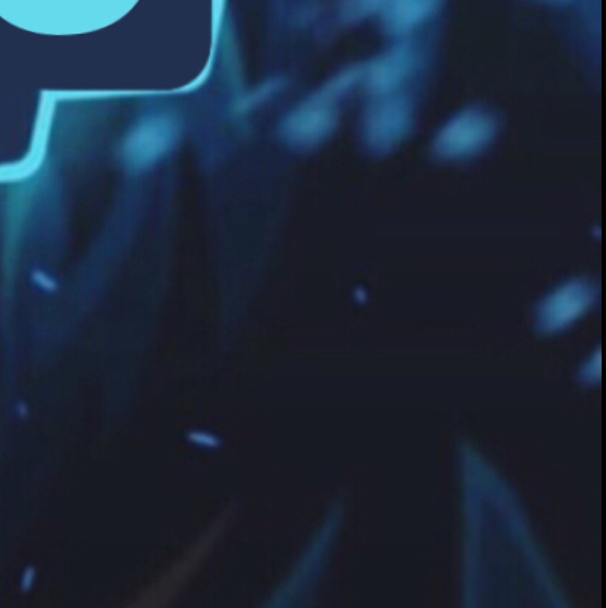 Invitation Banner