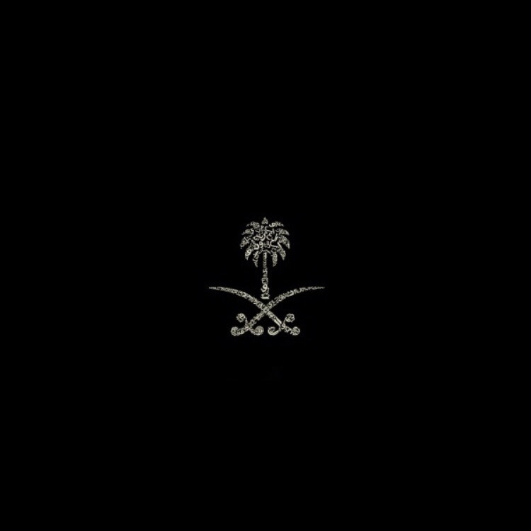BINFAHAD8