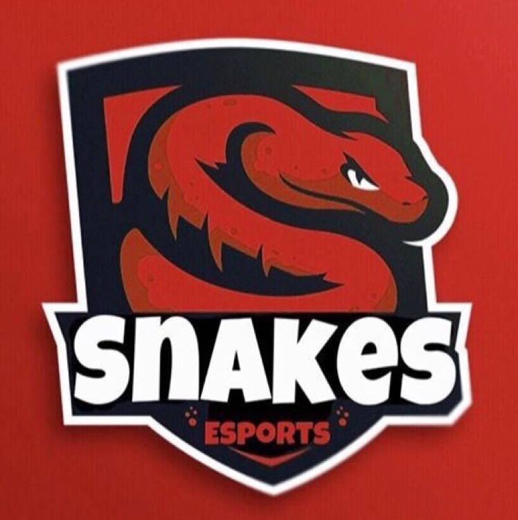 Snakes Esports
