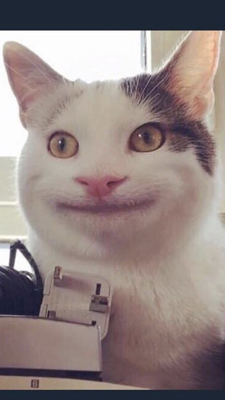 Twss