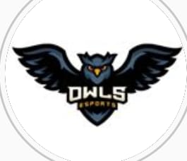 Owl Esports78
