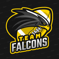 TeamFalcons