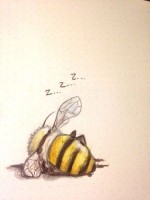 HoneyTeam