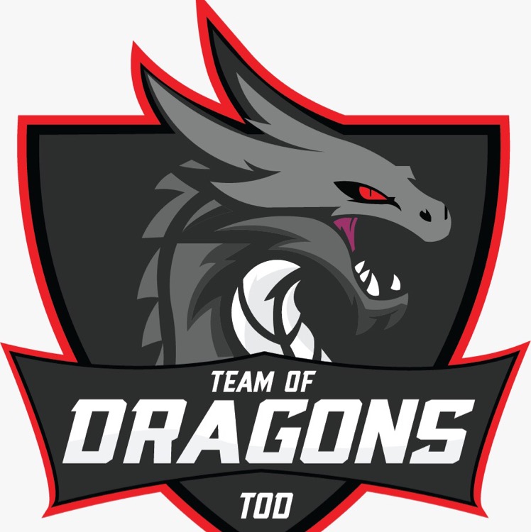 Team of Dragons 