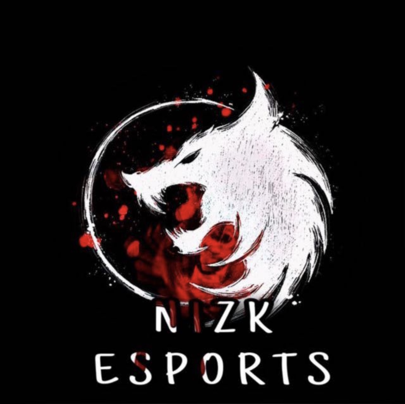 N1zK
