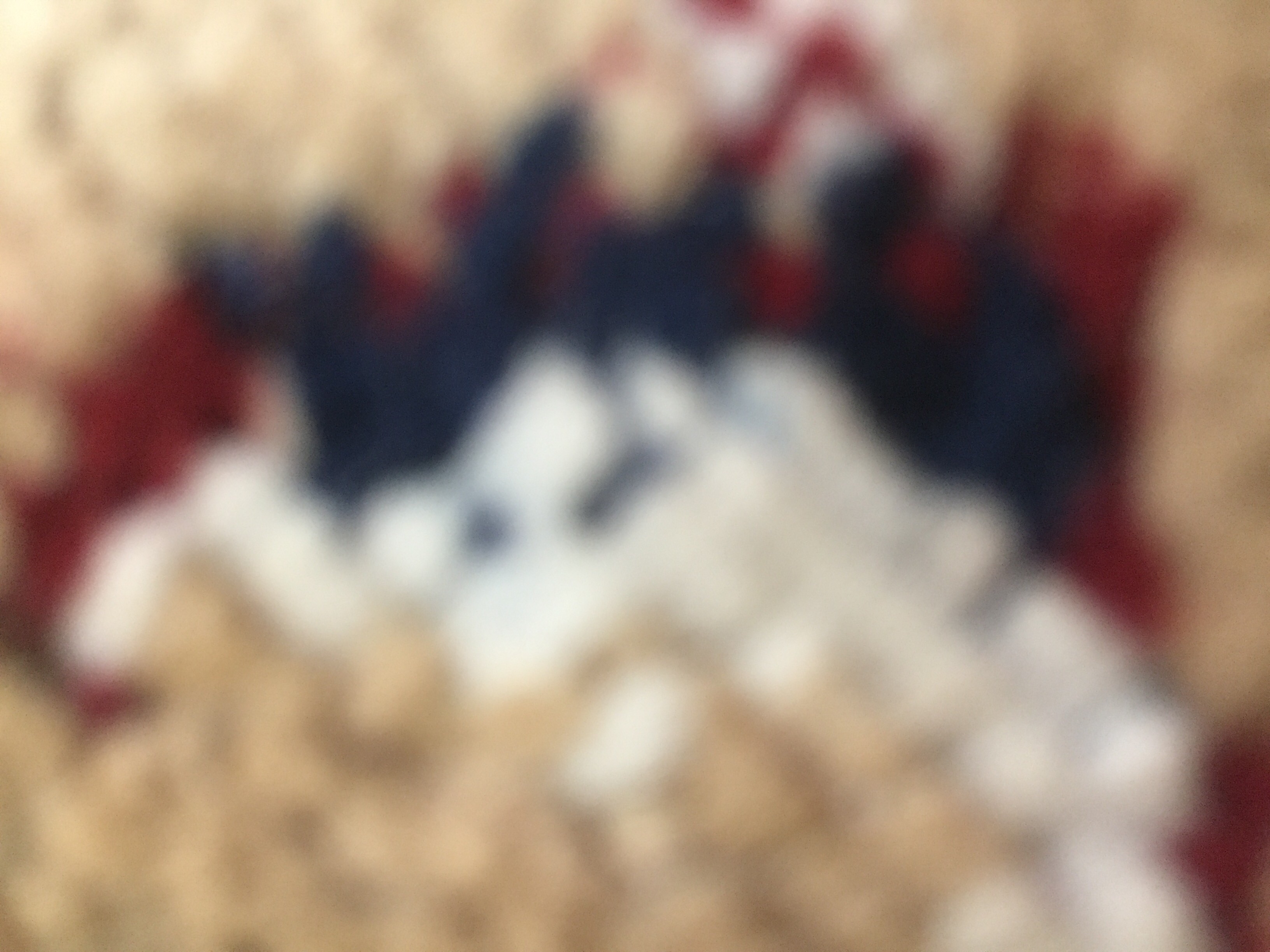 Invitation Banner