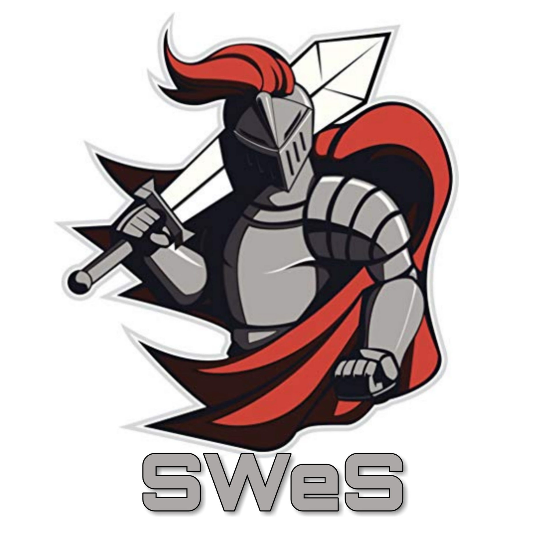 Solid Warriors eSports