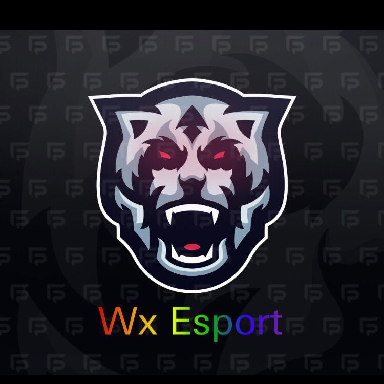 Wx Esports 