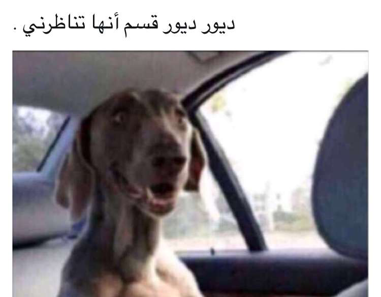 Hvcfhhvg