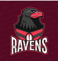 Night Ravens