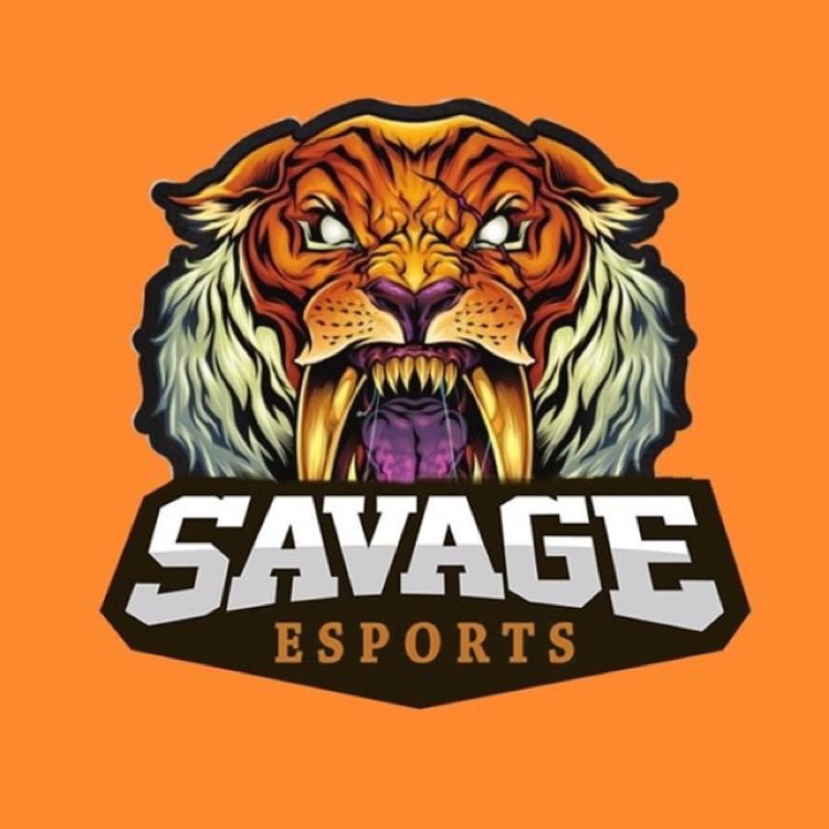 Savage Esports 