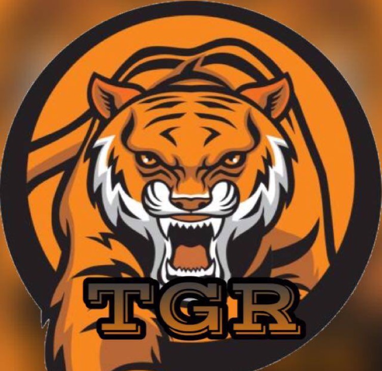 Tigers.Esports