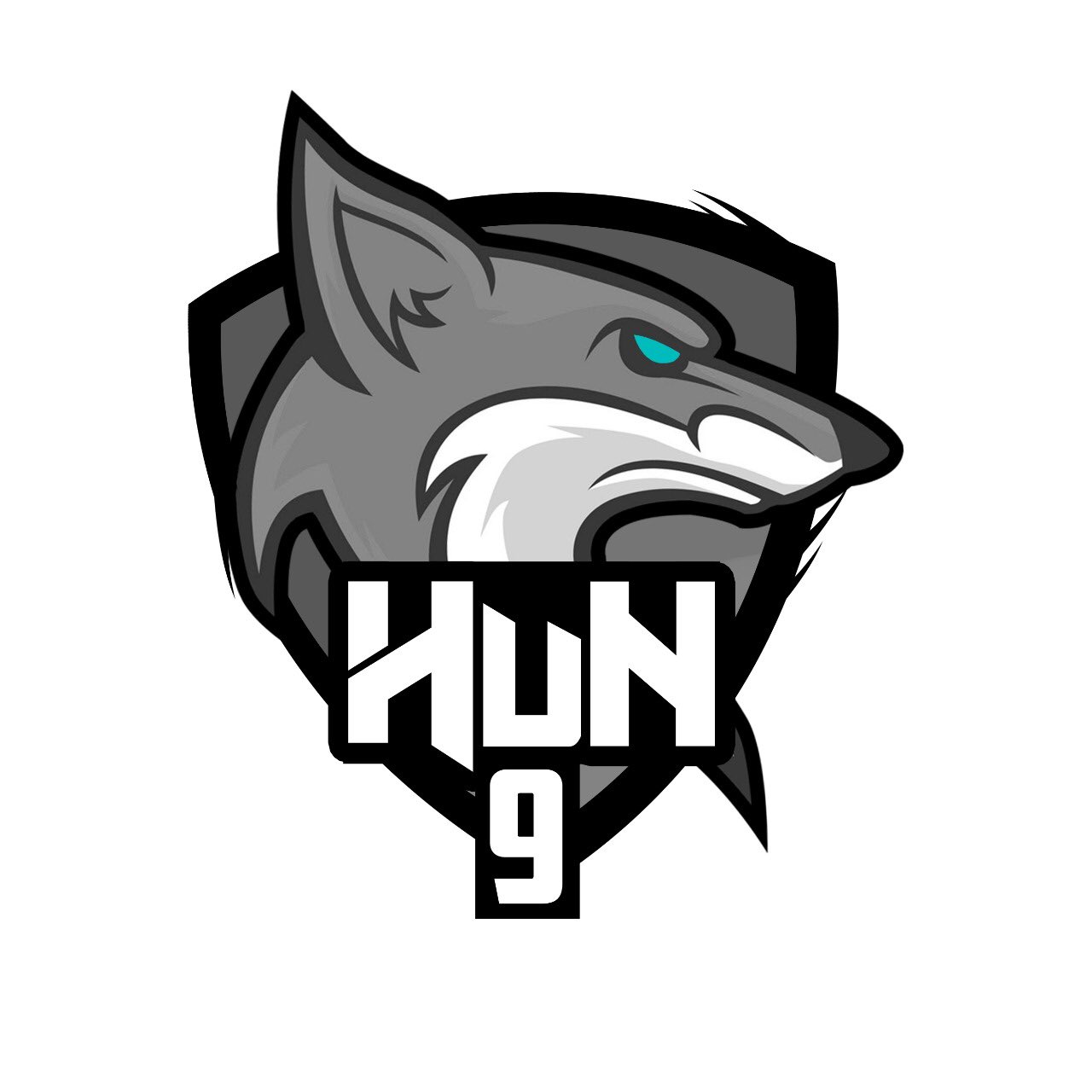 eSportsHunterss