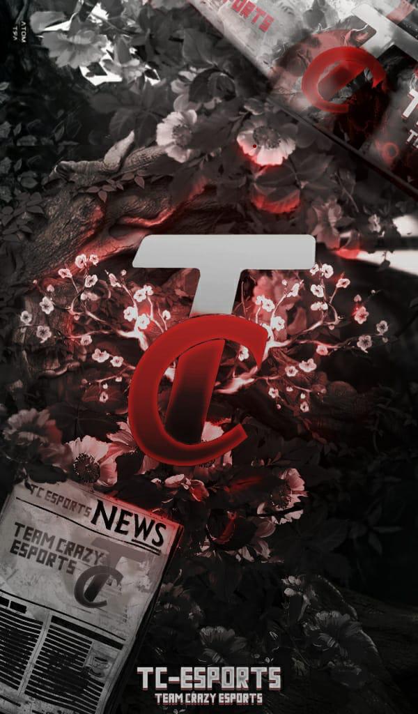 Team crazy 11 esports 