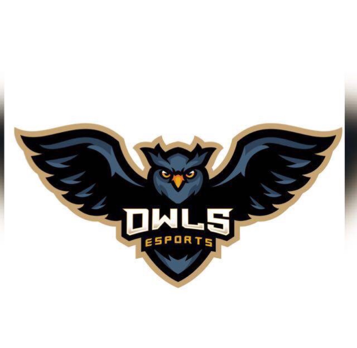TheOwLeSports