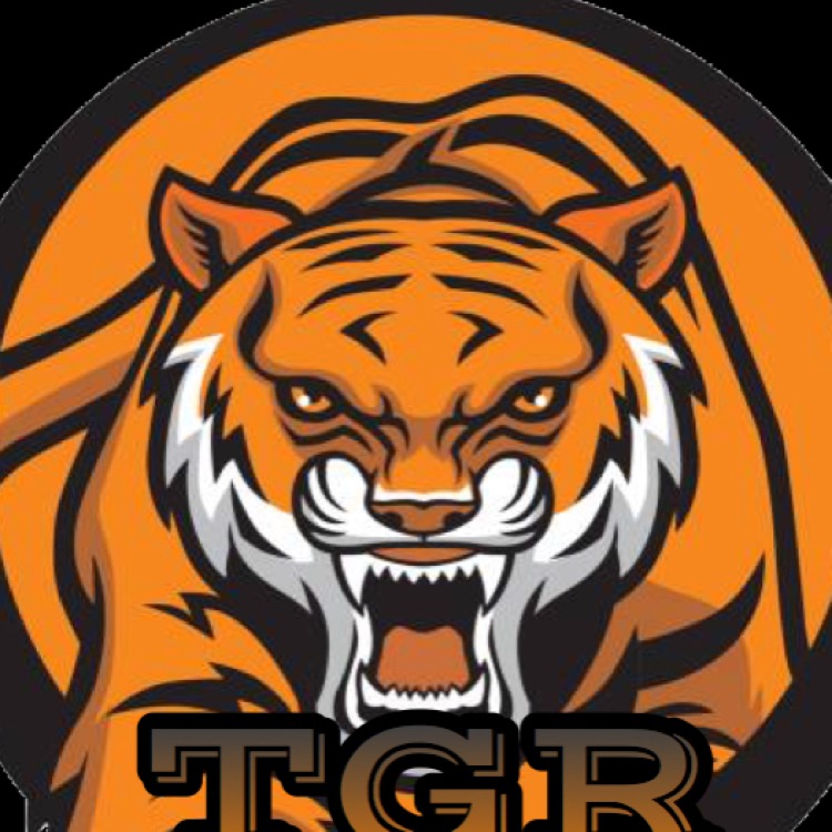 The.Tigers