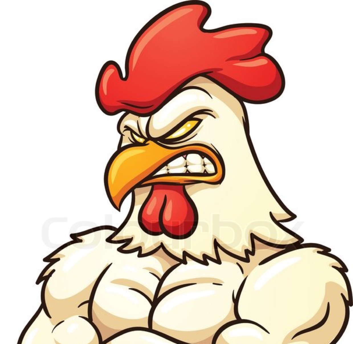 chicken national