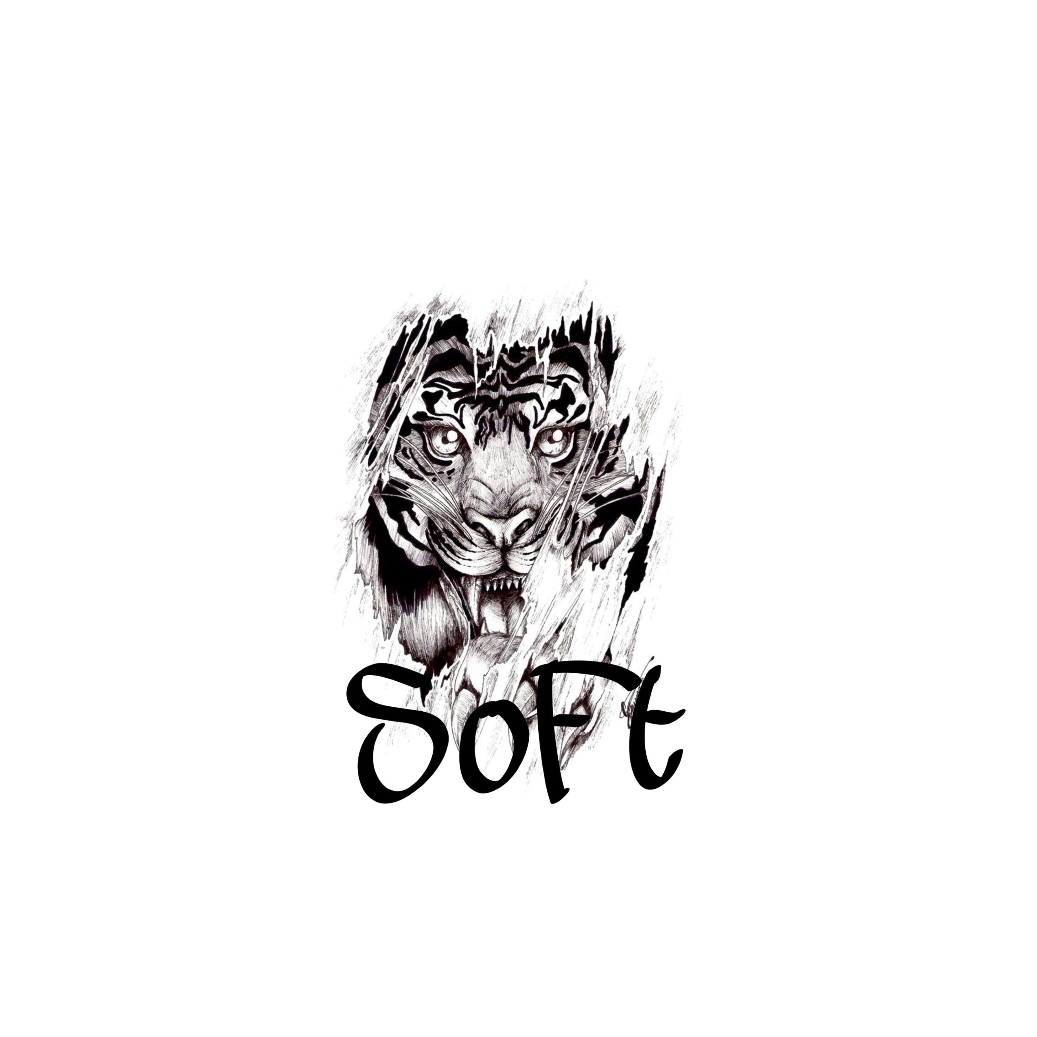 SoFt