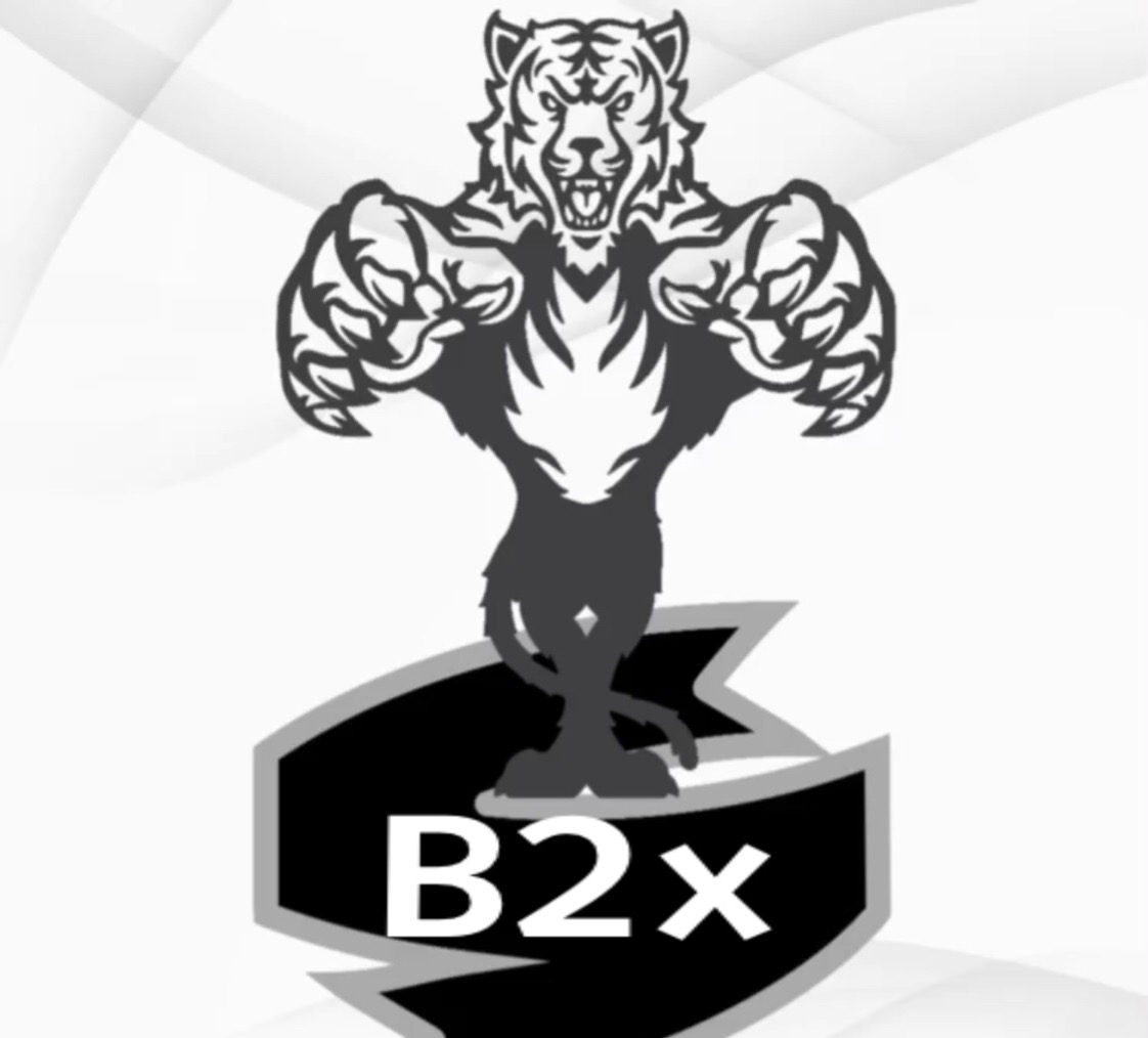 B2x-esports