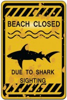THE SHARK