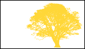 yellow tree
