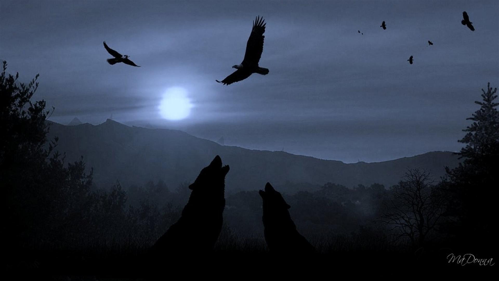 DarK WolveS