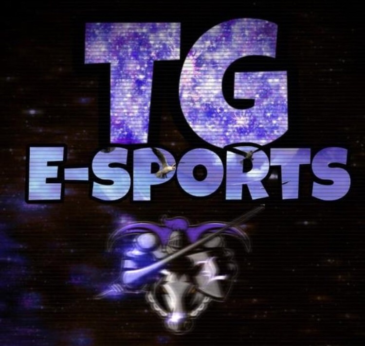 dp_esport