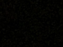 Invitation Banner