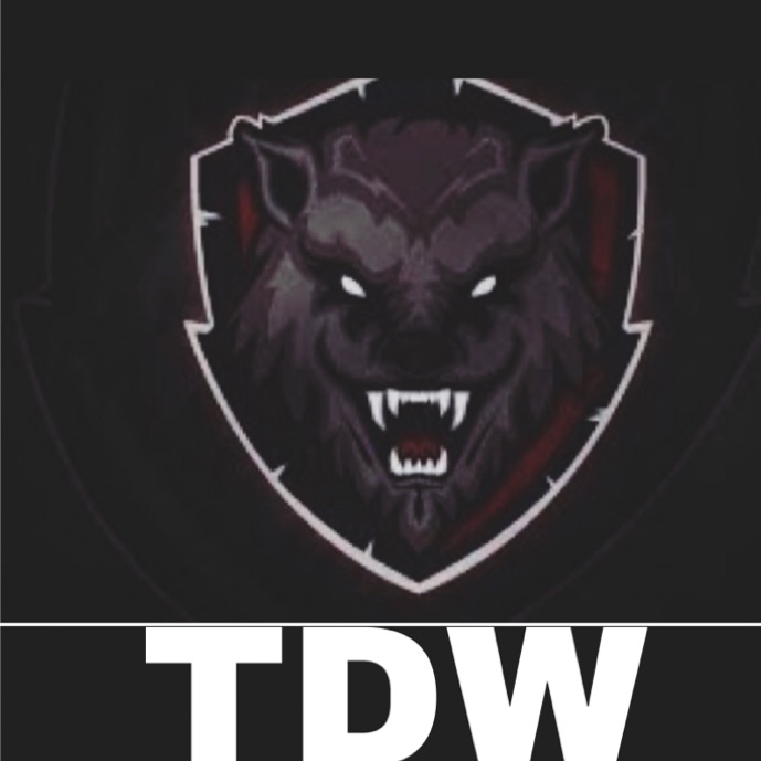 the dragons warriors