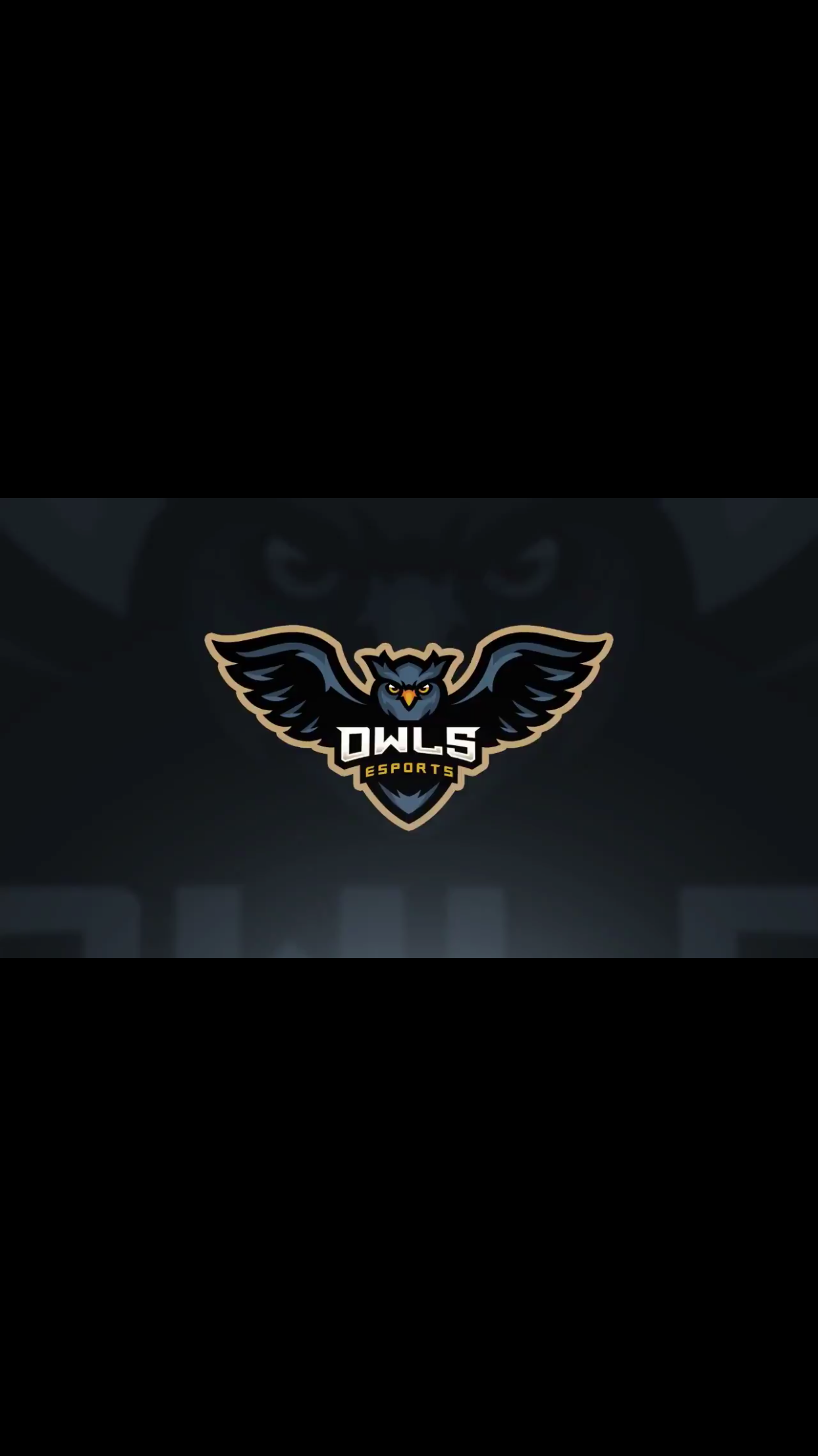 0WLEsports