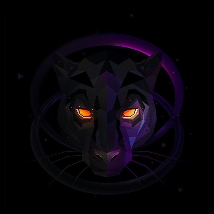 zXiX