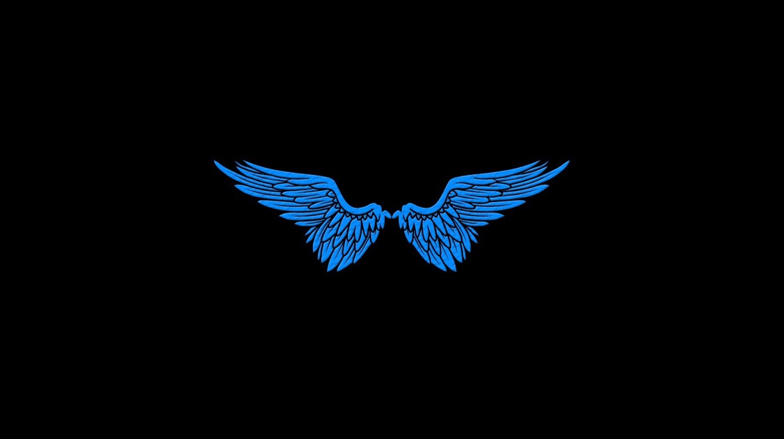 exotic SQ