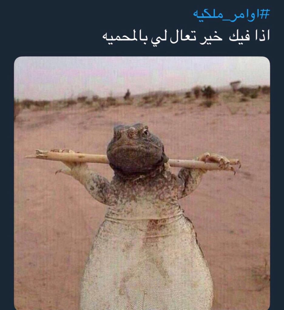 RSxZ