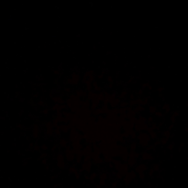 QWR_sport
