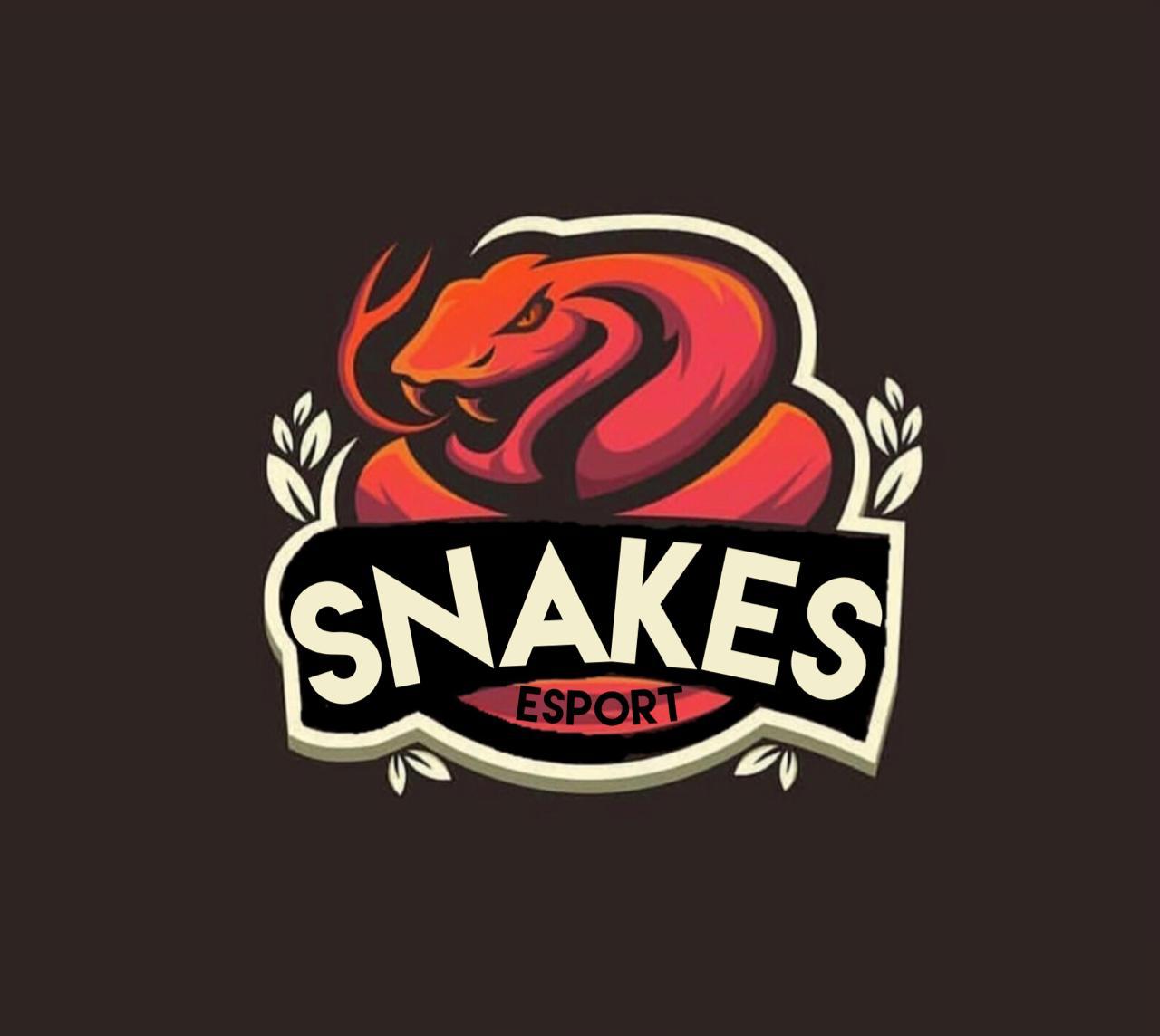 SnakesEsports