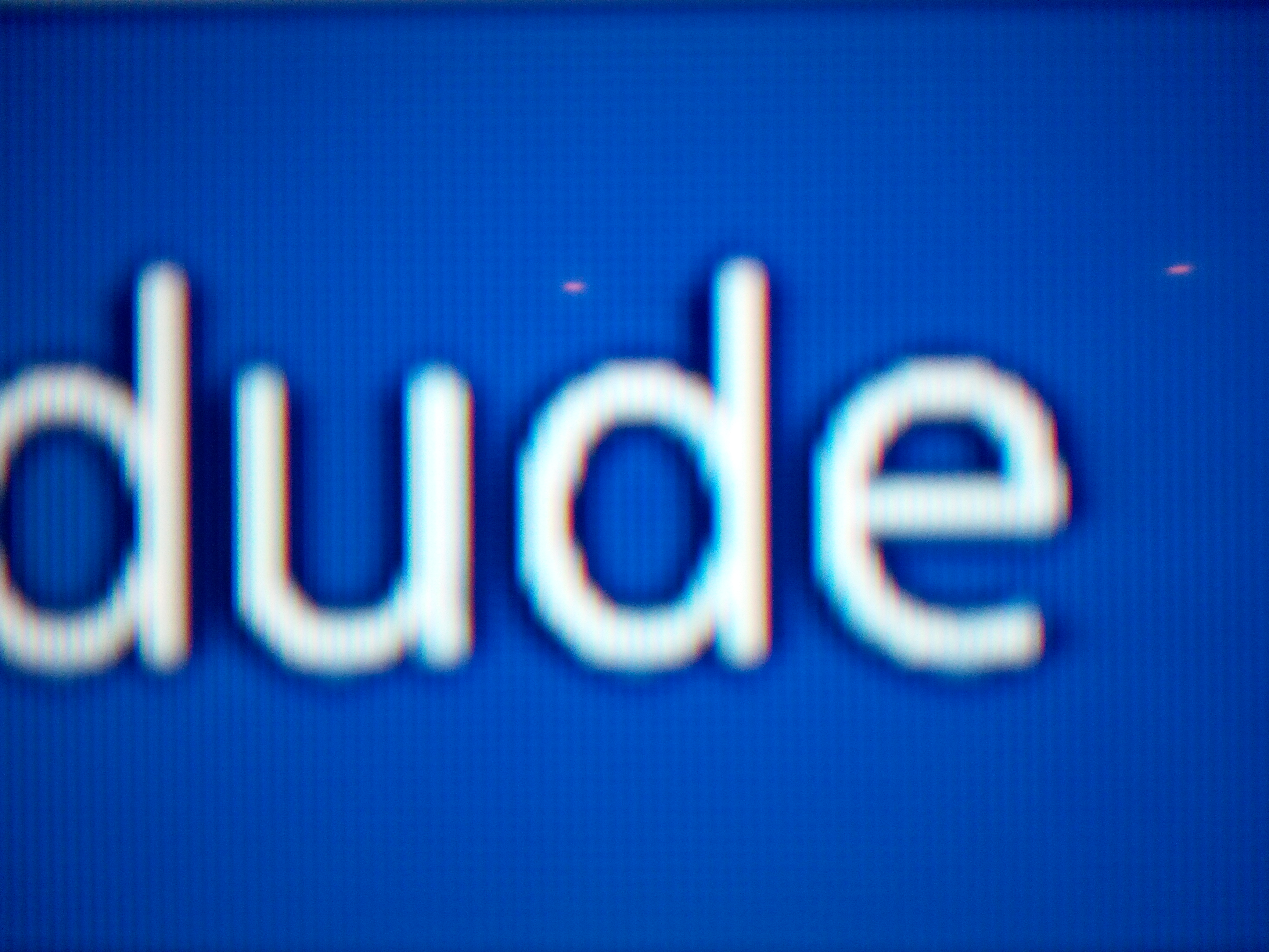 dude