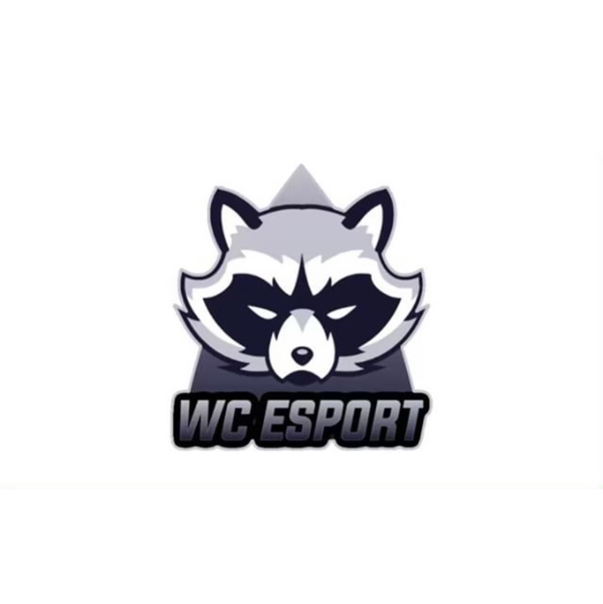 We Can Esport
