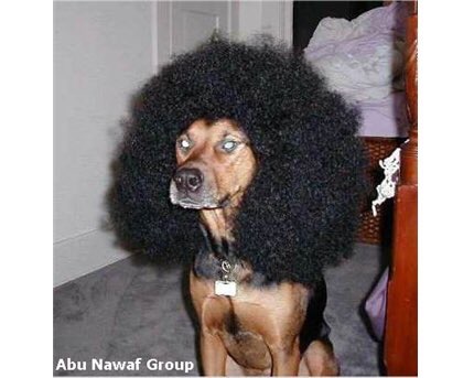 Mwl3een