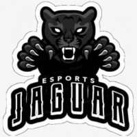 Old black jaguar