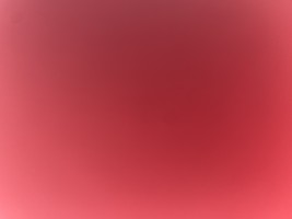 Invitation Banner