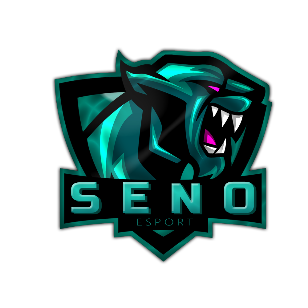 SeNo Esport
