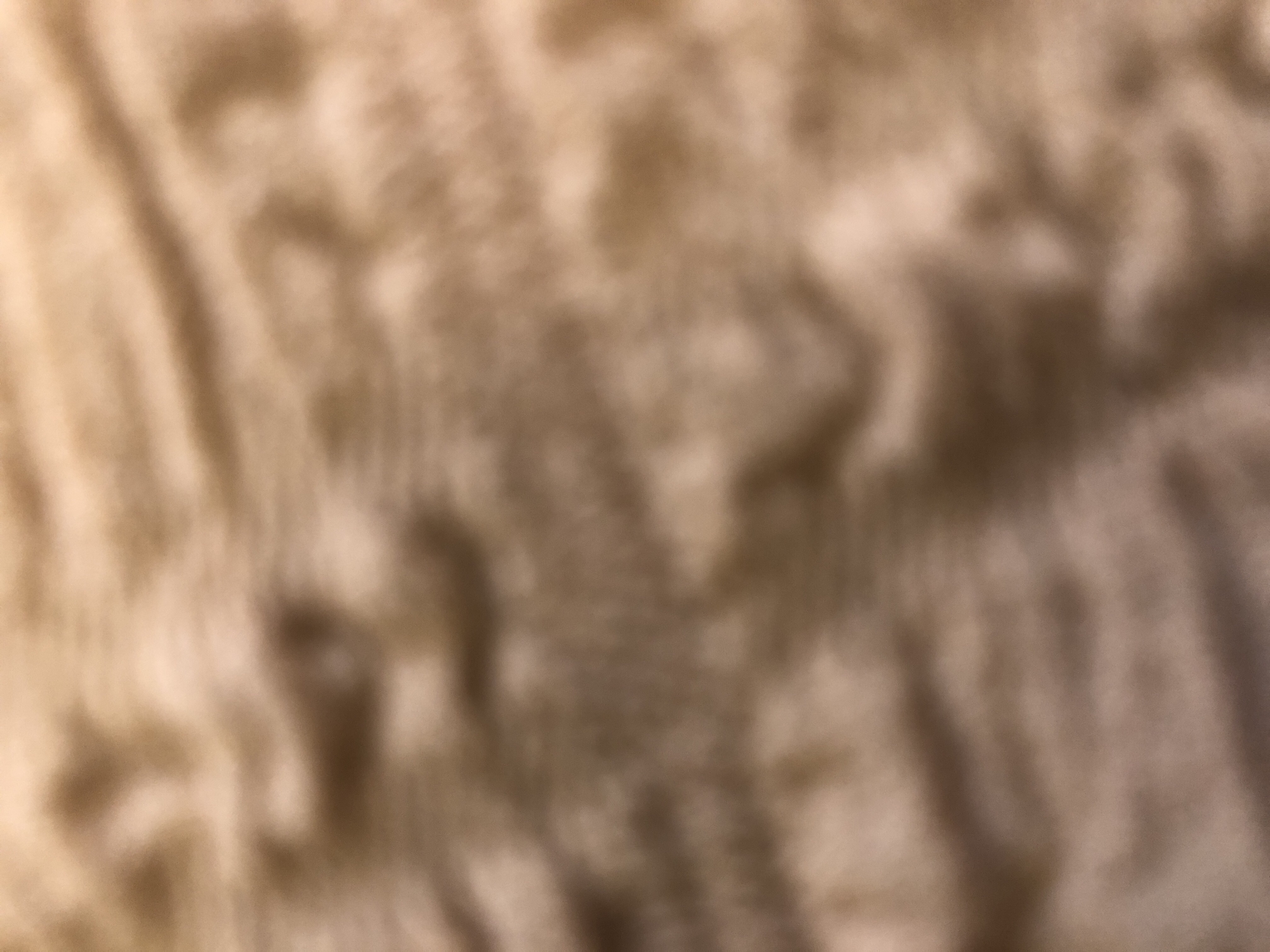 Invitation Banner