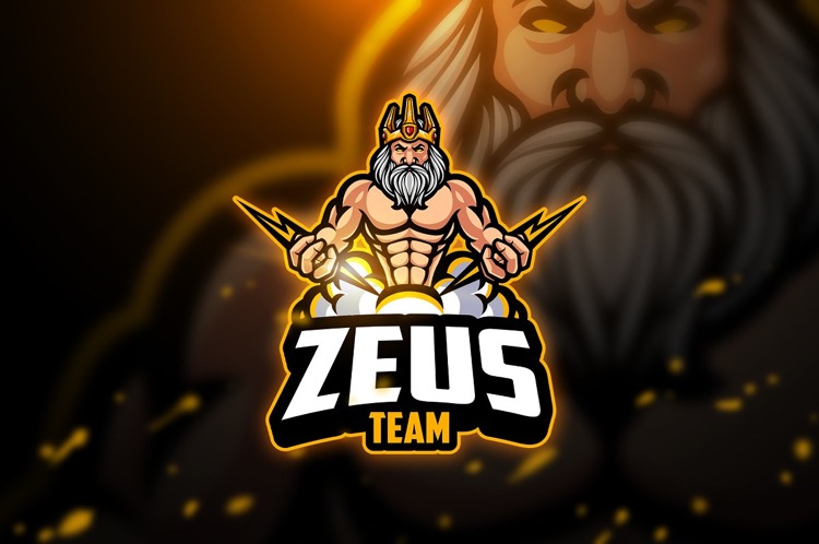 The ZEUS